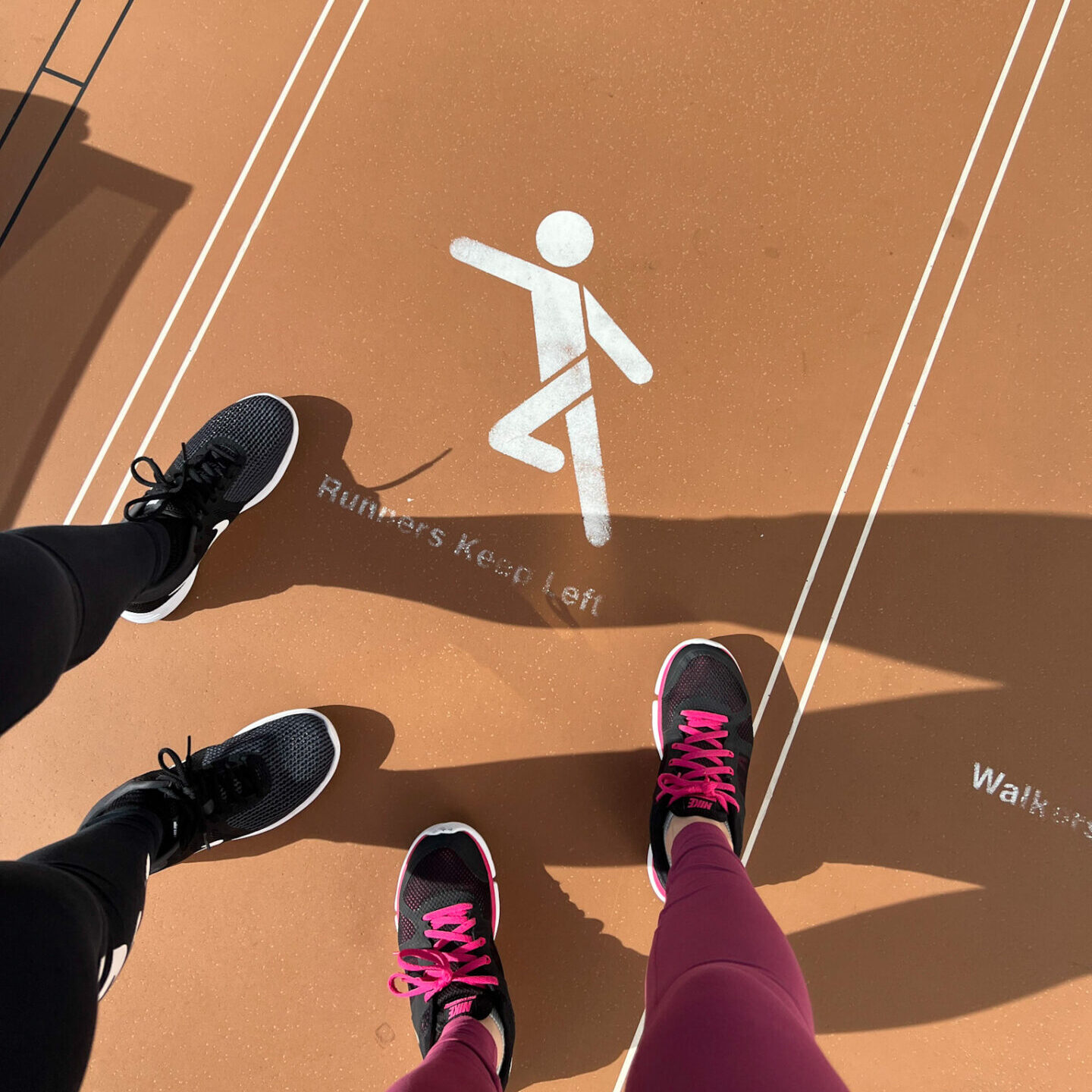 MSCベリッシマのトラック